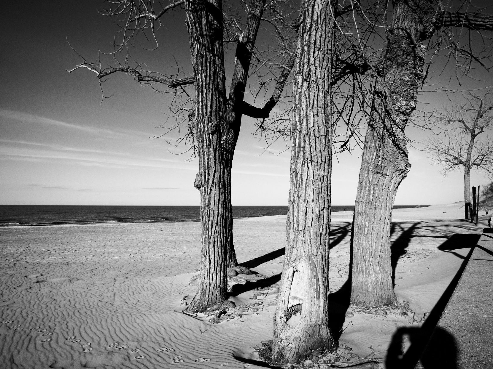 beaches